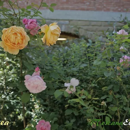 Apartman La Romea Altopascio