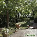 La Romea Daire