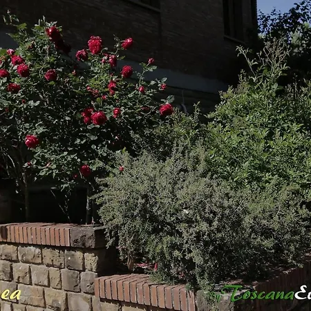 Apartamento La Romea Altopascio