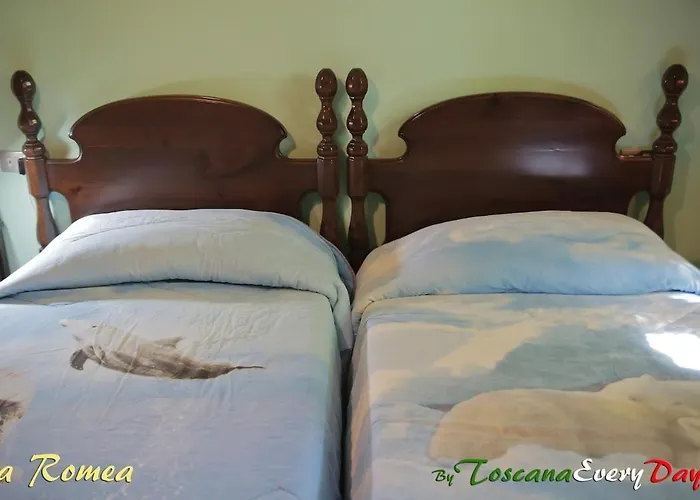 Apartamento La Romea *